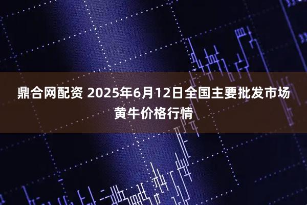 鼎合网配资 2025年6月12日全国主要批发市场黄牛价格行情