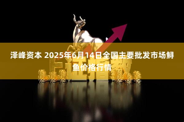 泽峰资本 2025年6月14日全国主要批发市场鲟鱼价格行情