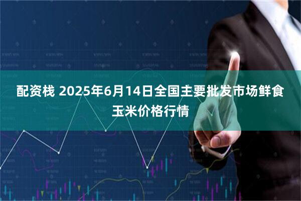 配资栈 2025年6月14日全国主要批发市场鲜食玉米价格行情