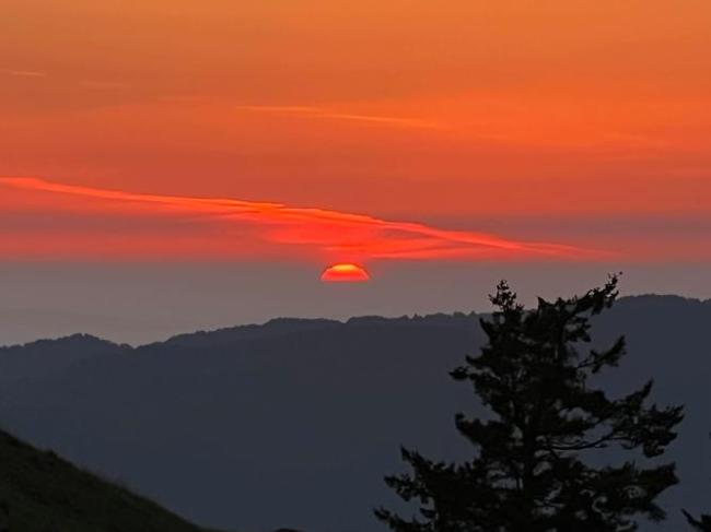 和条友交换照片 评论区变落日相册
