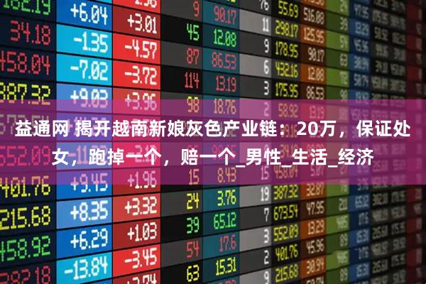 益通网 揭开越南新娘灰色产业链：20万，保证处女，跑掉一个，赔一个_男性_生活_经济