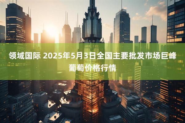 领域国际 2025年5月3日全国主要批发市场巨峰葡萄价格行情