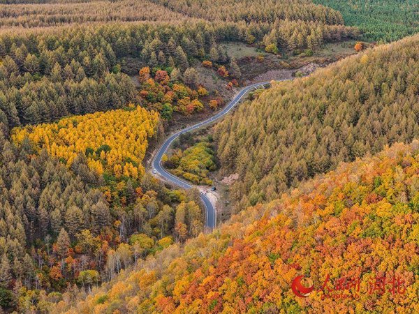 天牛宝 生态画卷正当时 河北围场演绎“色彩盛宴”